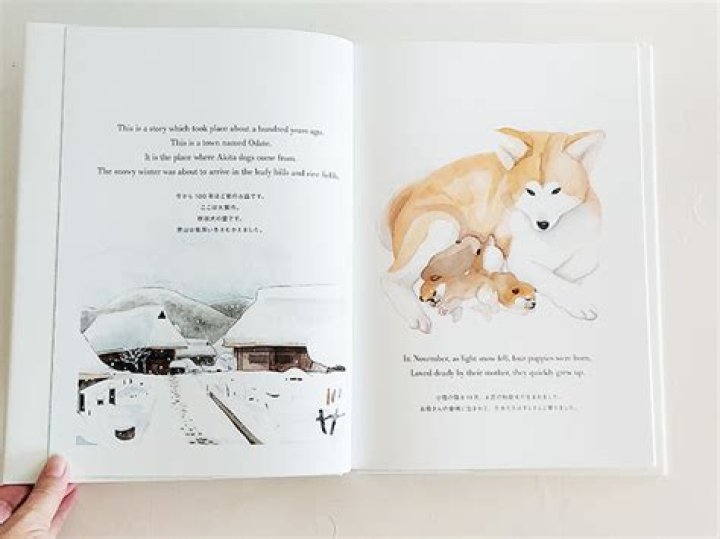 Discover Nagi Maehashi's Works For Children: A Journey Of Imagination