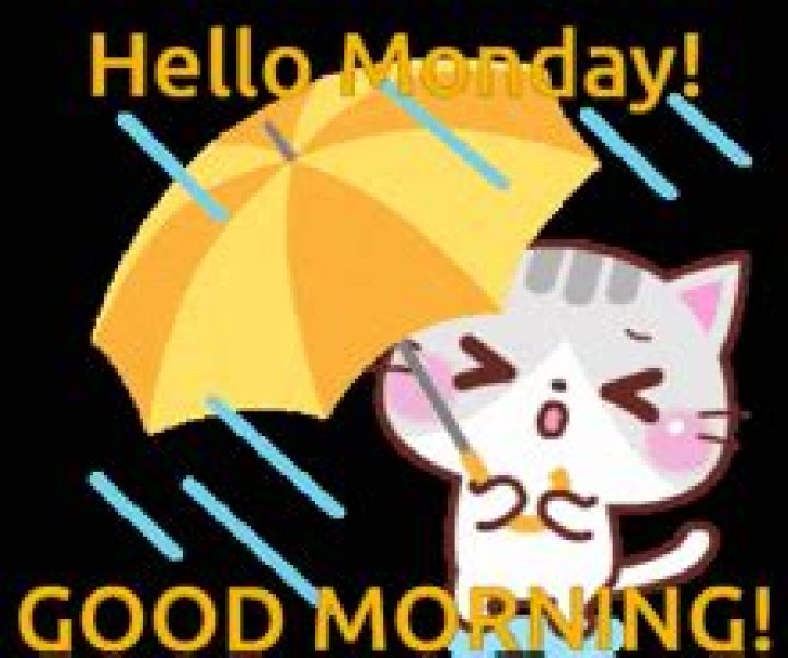 Embracing The Cozy Vibes Of A Rainy Monday Good Morning